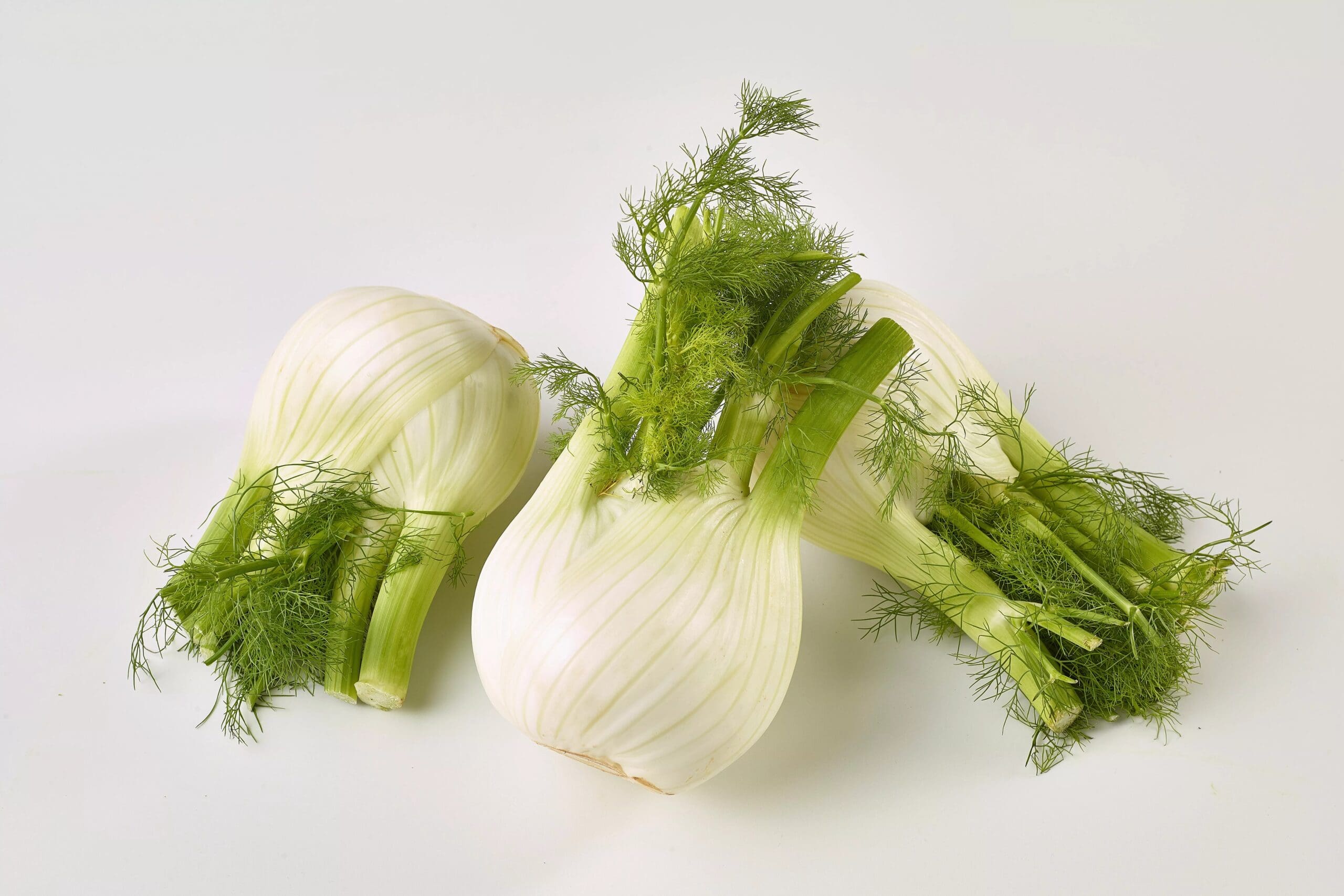 Fresh Fennel