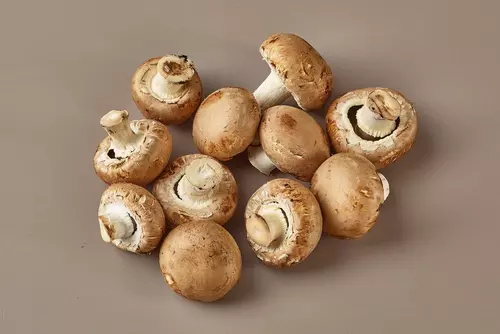 Mushroom Paris Brown Chestnut