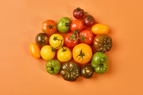 British Heirloom Mixed Tomatoes