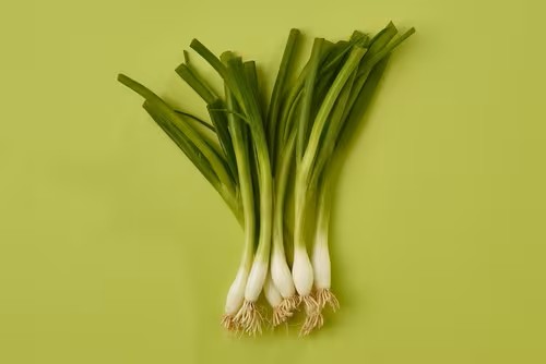 Fresh Spring Onions 1×40
