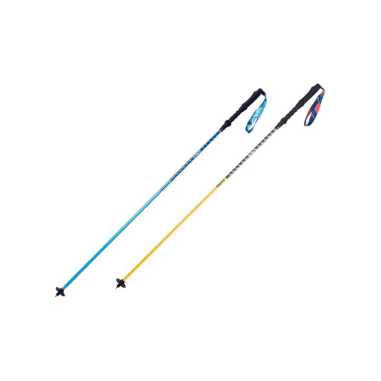 Ski Poles Set