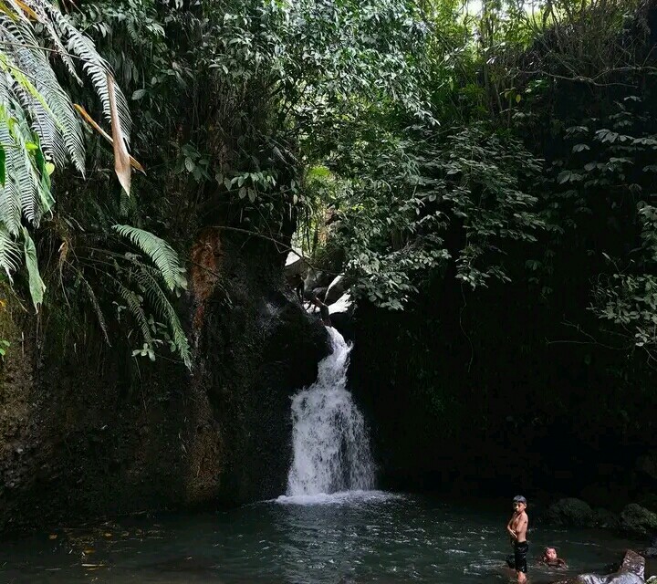 Hidden Jungle Waterfall Tour