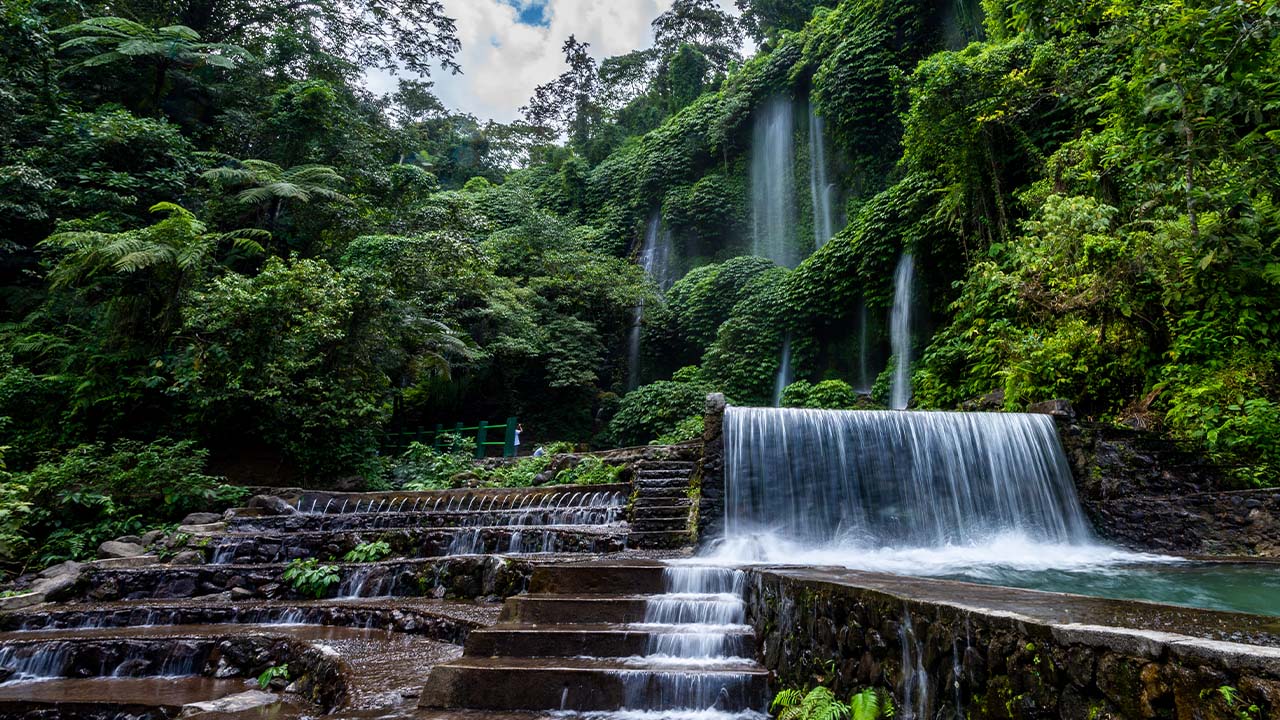 Tropical Waterfall Wall Art