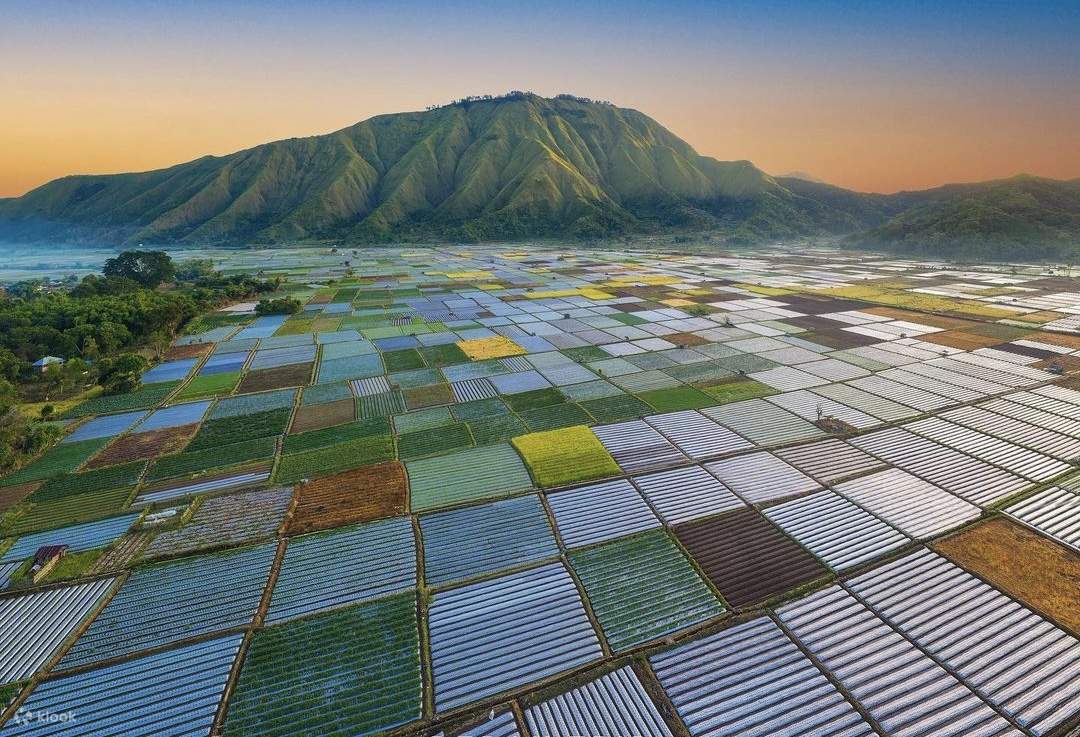 Landscape Pergasingan Hill