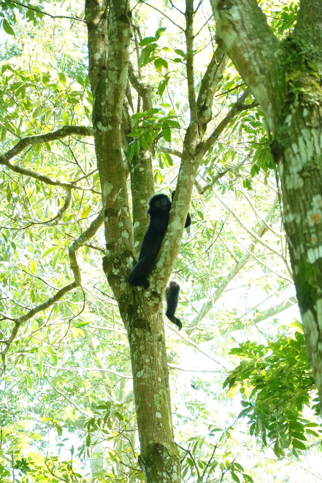 Tetebatu Sanftes Trekking