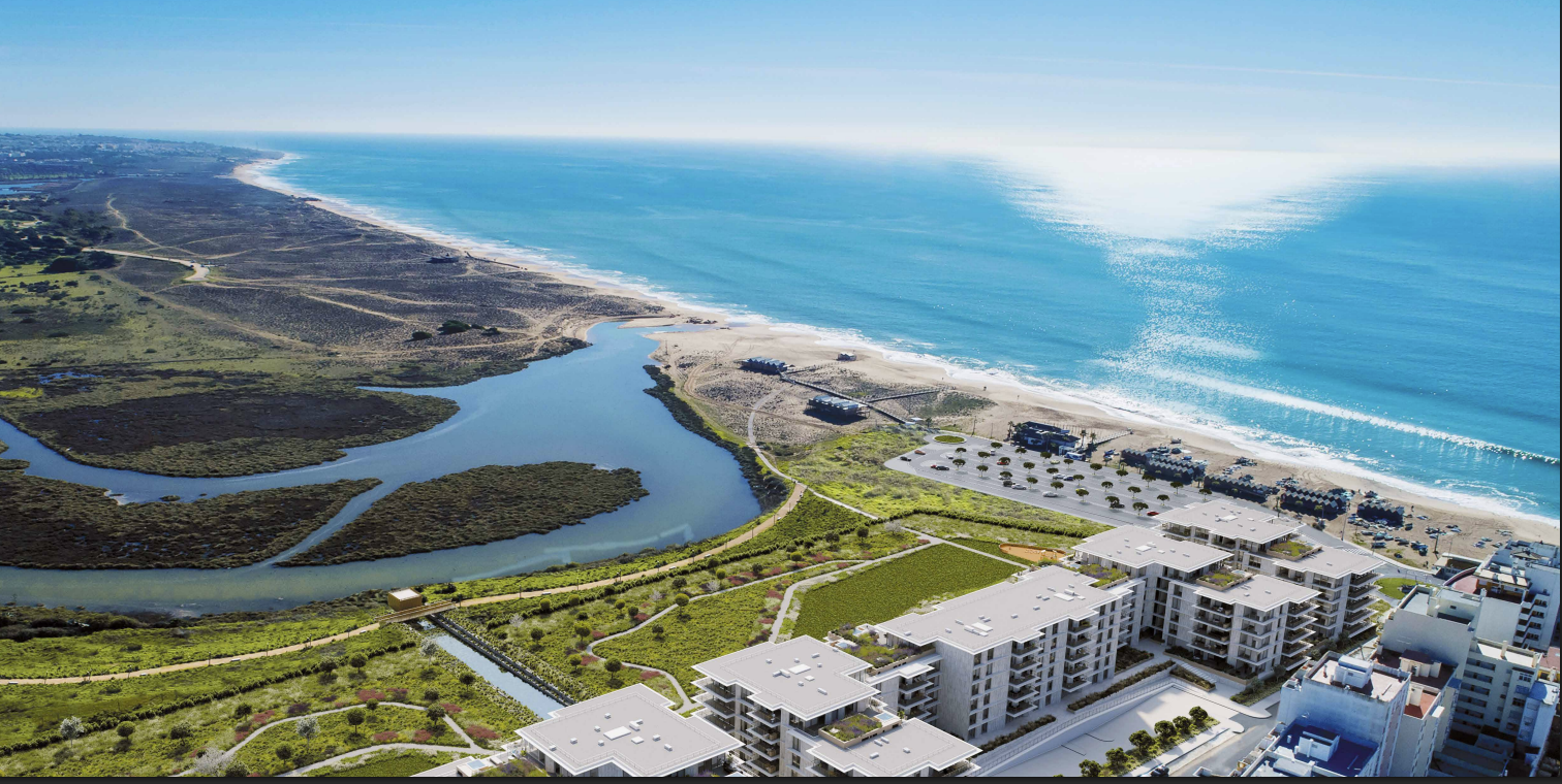 Bayline: Beachfront Living