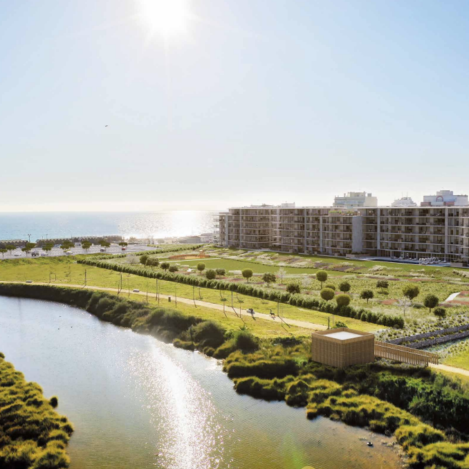 Bayline: Beachfront Living