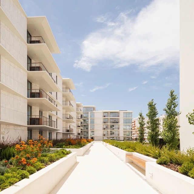 Bayline: Beachfront Living