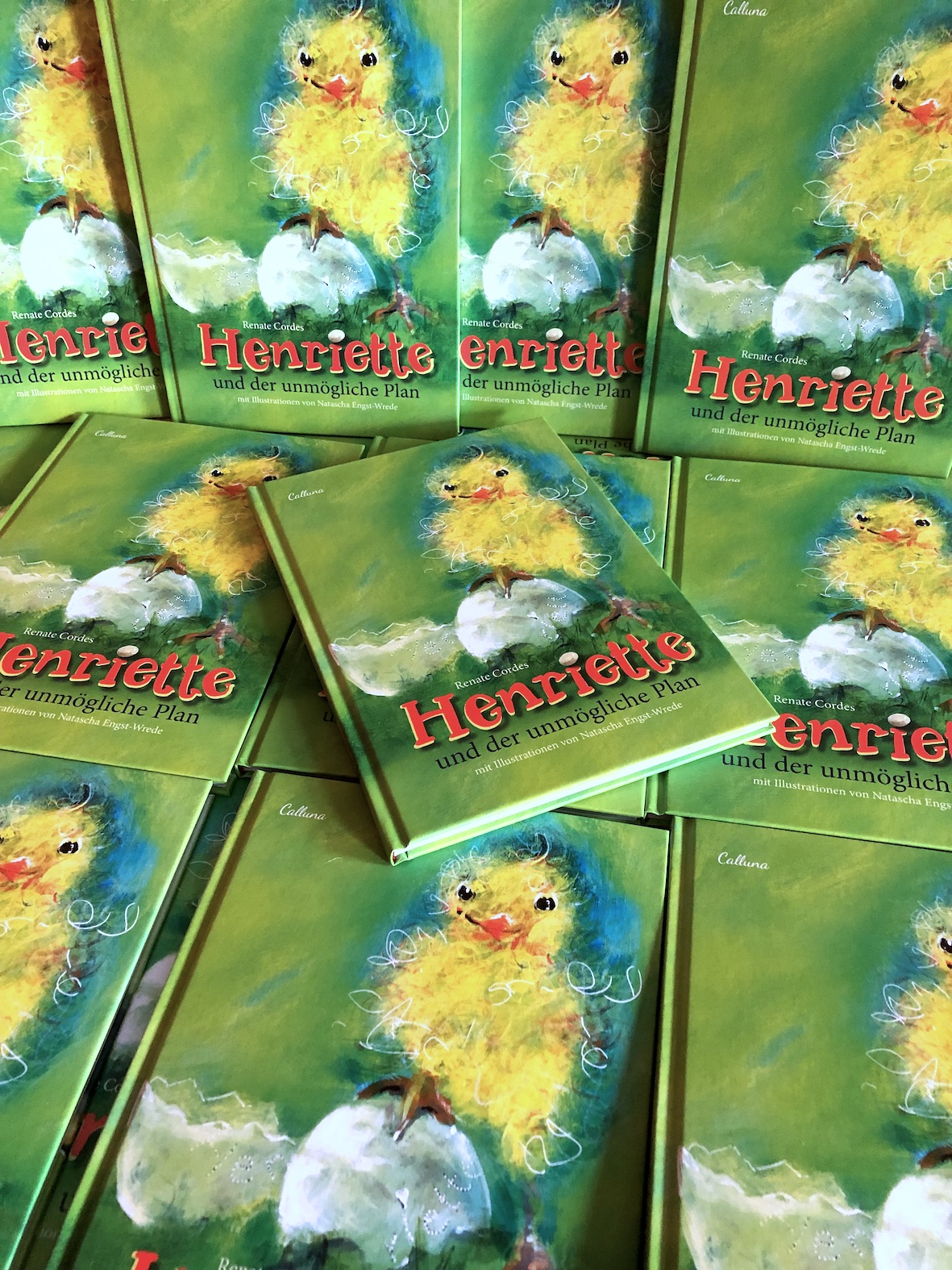 Henriette und der unmögliche Plan