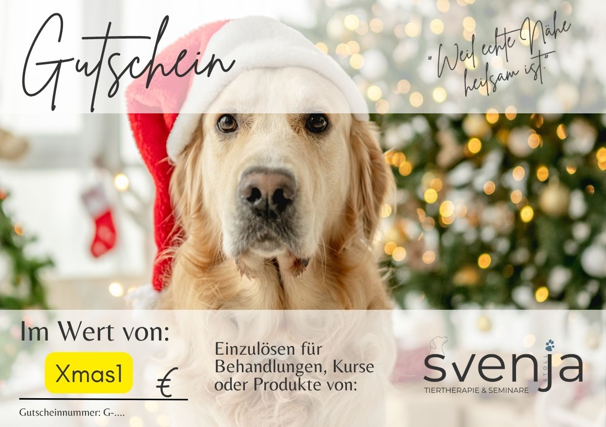 Gutschein/ Geschenkkarte