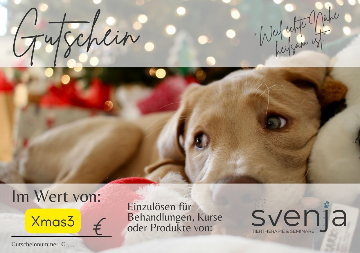 Gutschein/ Geschenkkarte