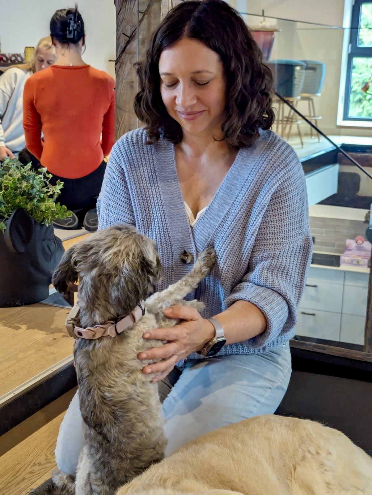 Basisseminar: Integrative Shiatsu-Therapie für Hunde nach Svenja Stoll™