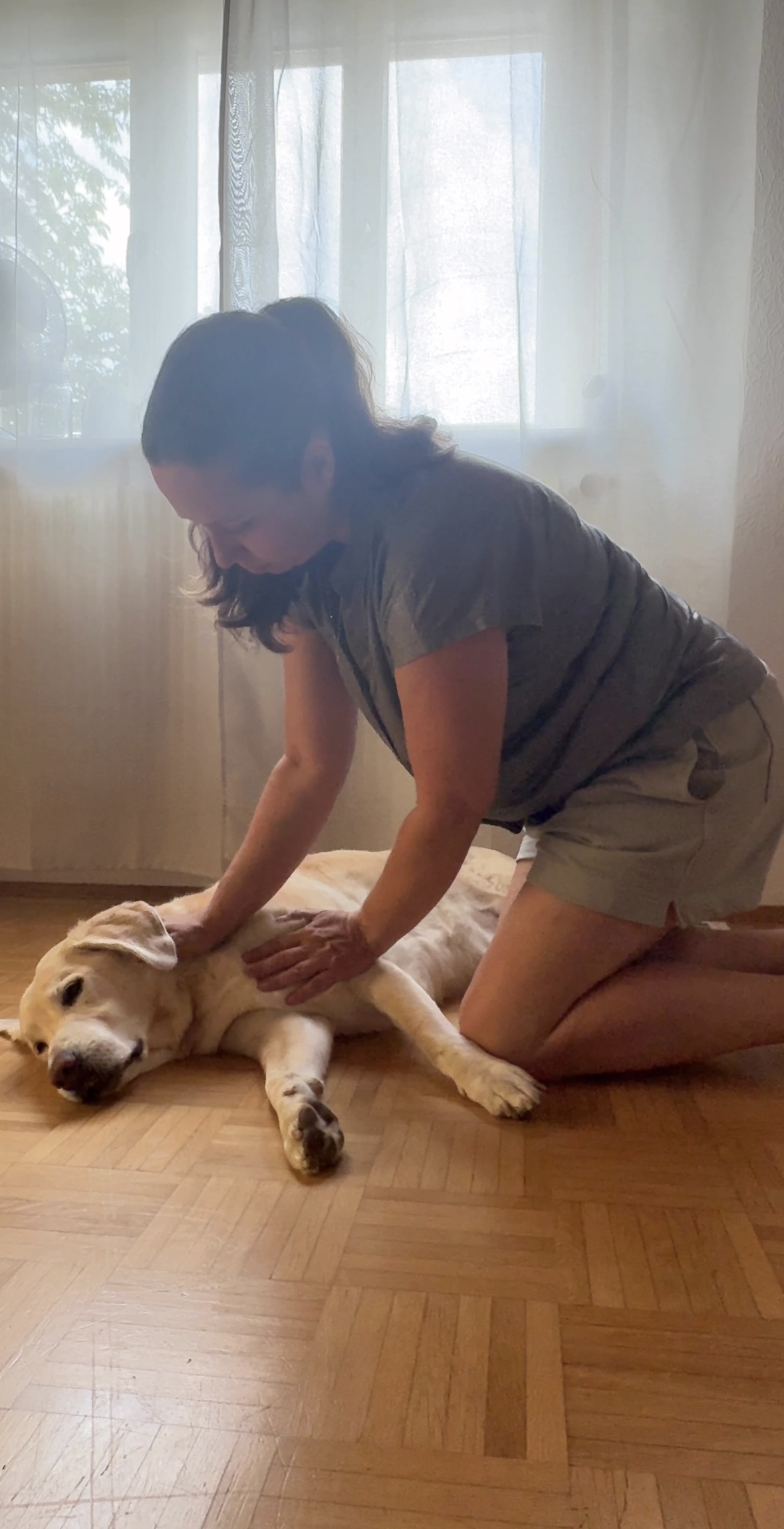 Shiatsu-Therapie für Hunde