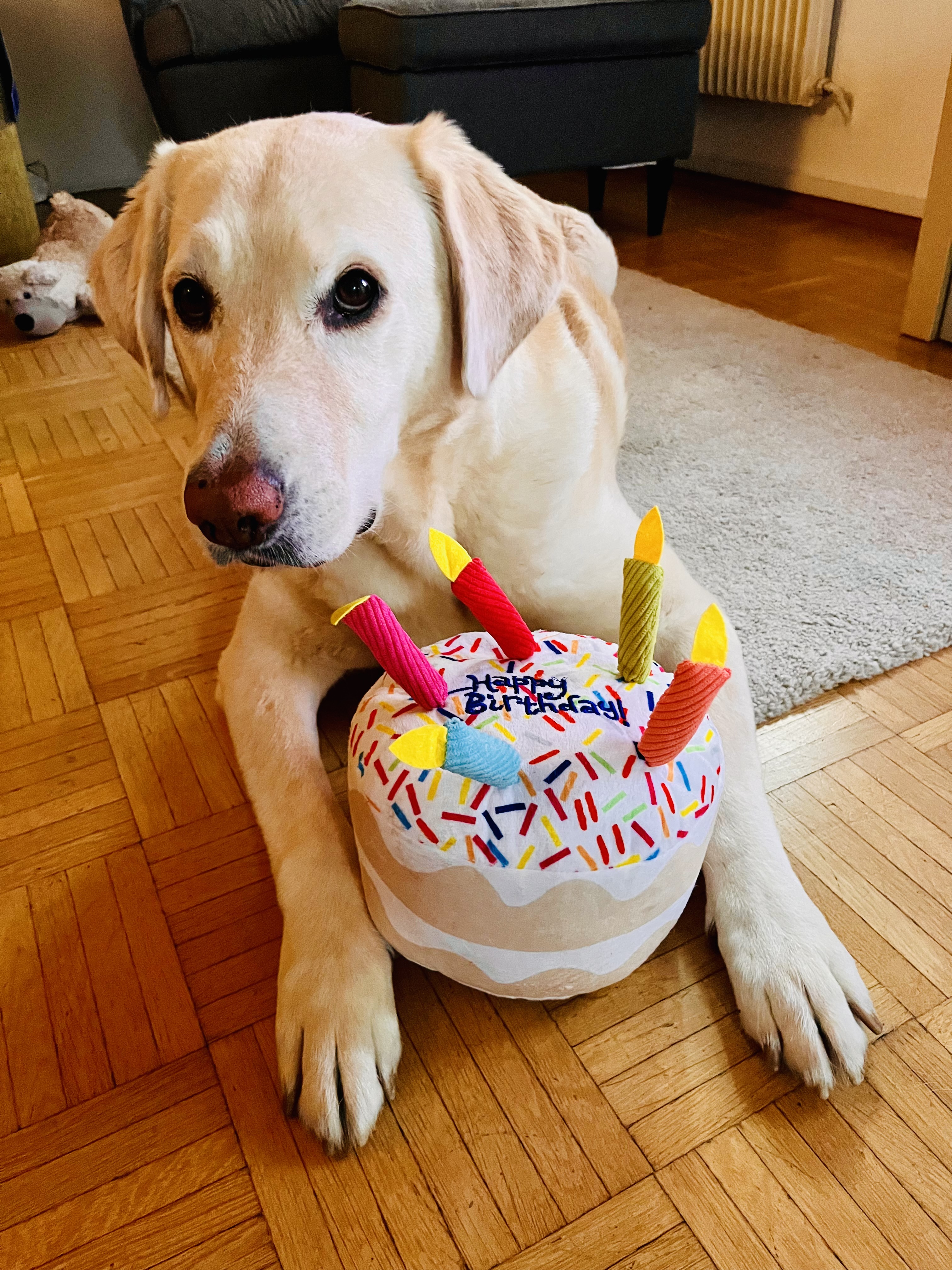 Gutschein/ Geschenkkarte