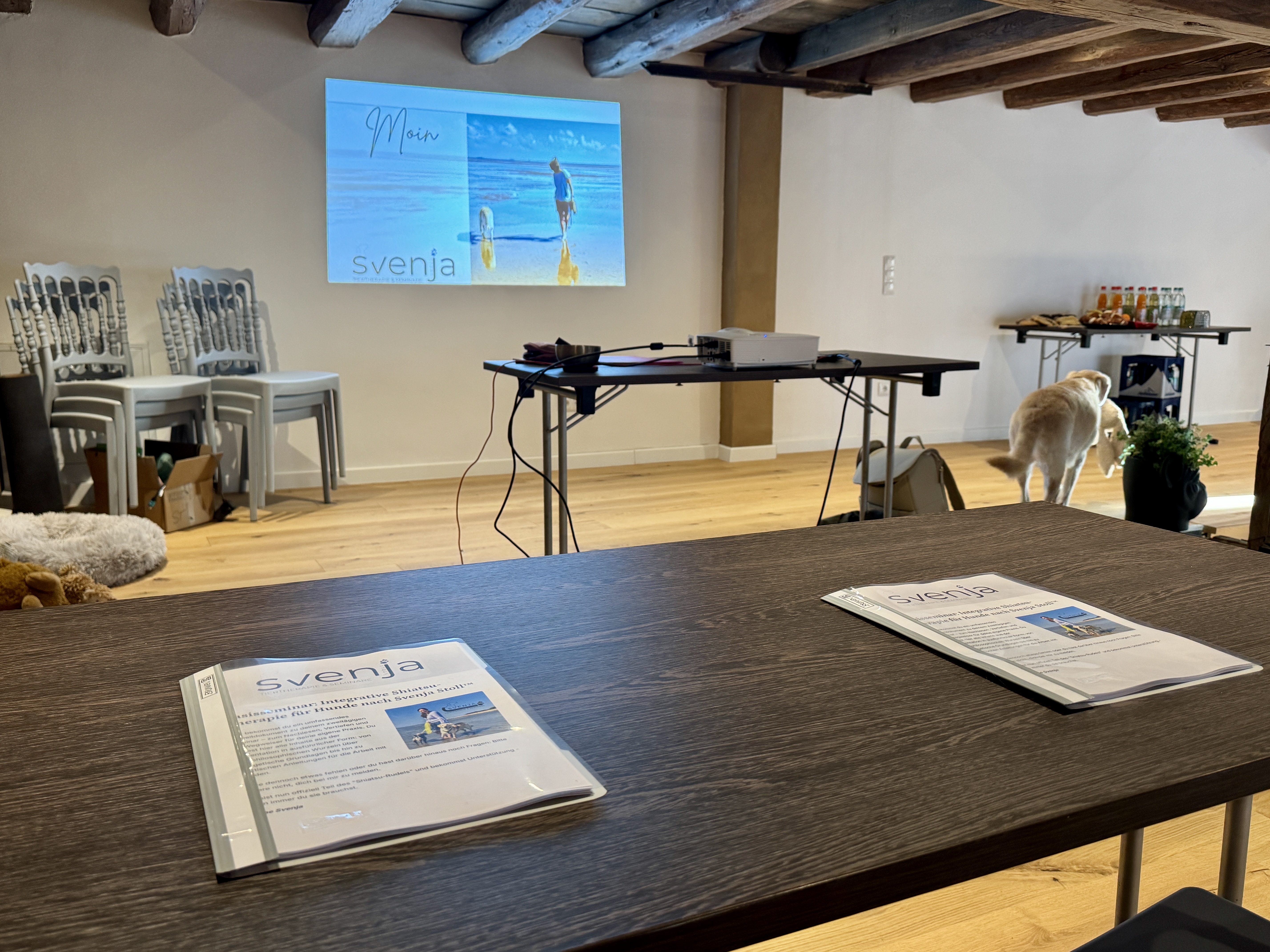 Basisseminar: Integrative Shiatsu-Therapie für Hunde nach Svenja Stoll™