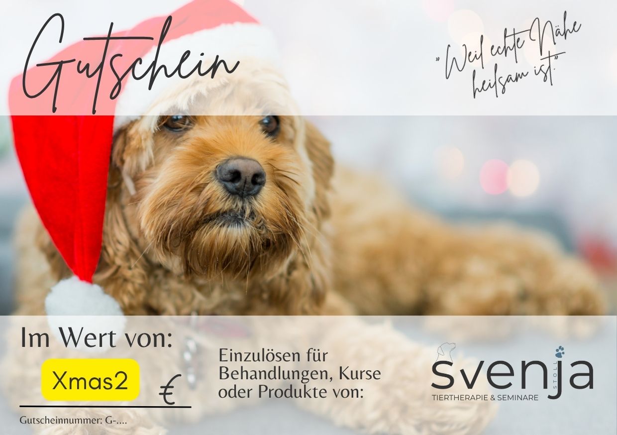 Gutschein/ Geschenkkarte