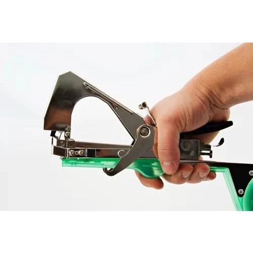 Alceador Grampeador Plantas Tomates Ramos Uva Caules Lira