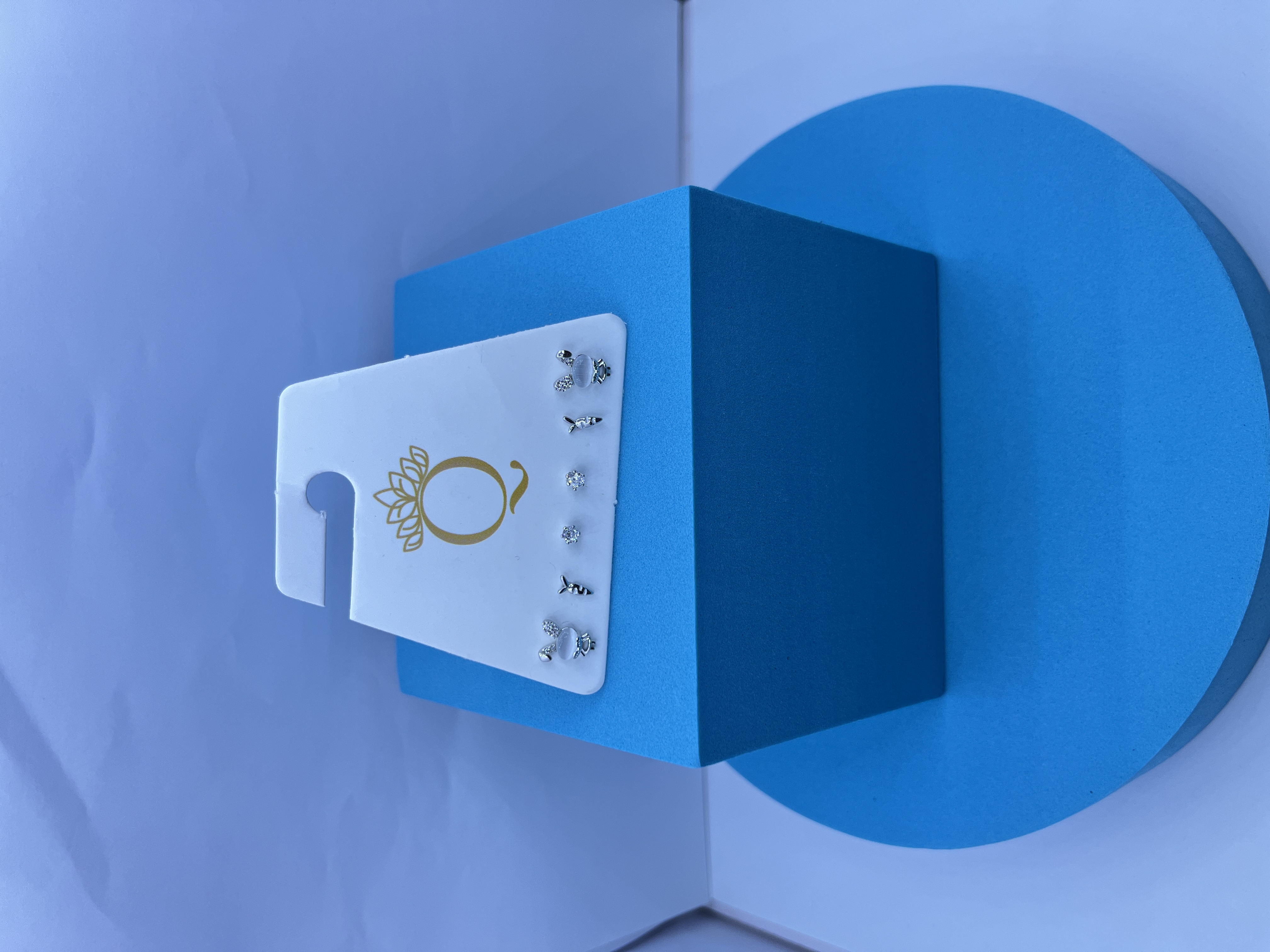 Silver Stud Earring Set