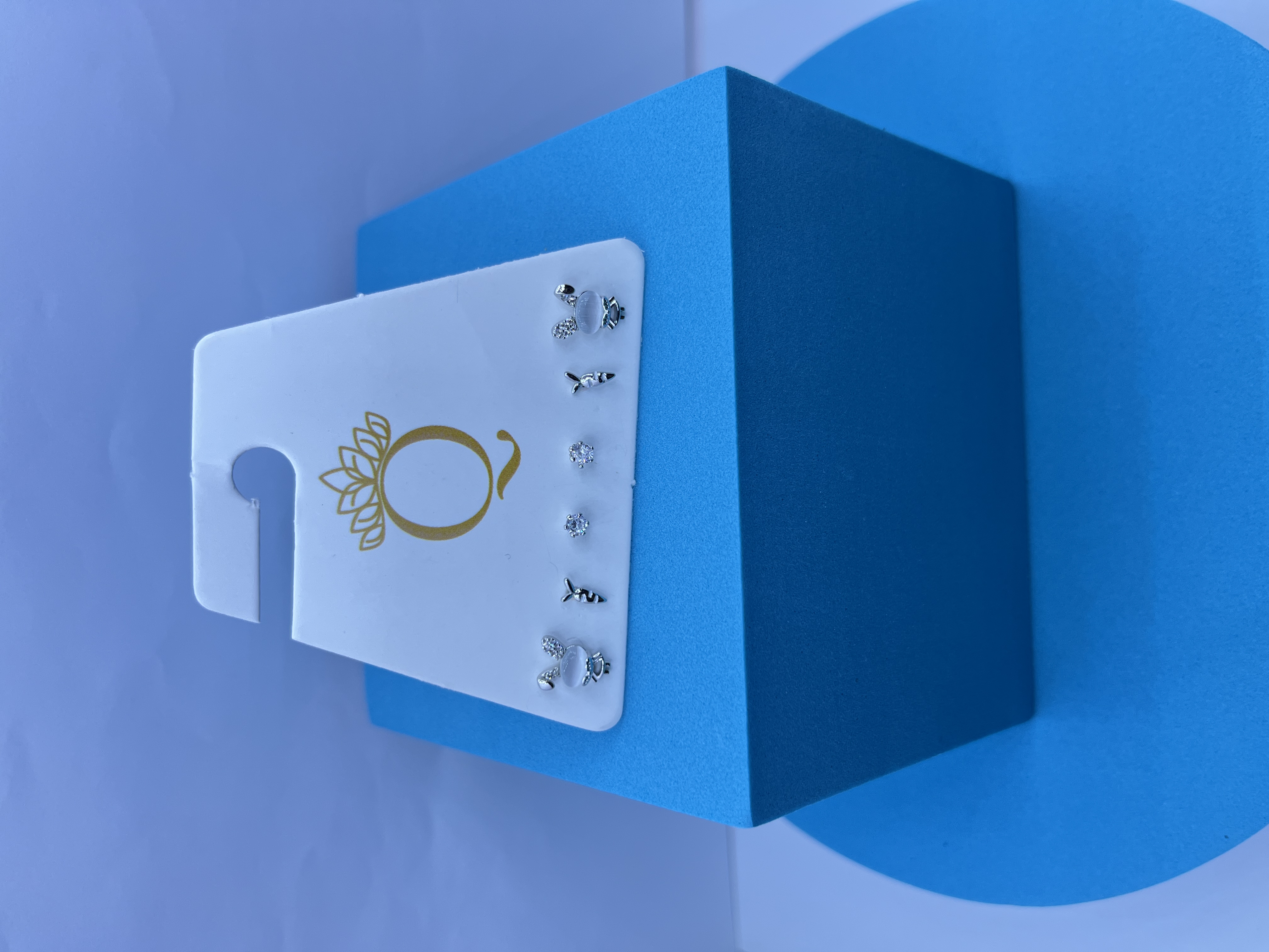 Silver Stud Earring Set