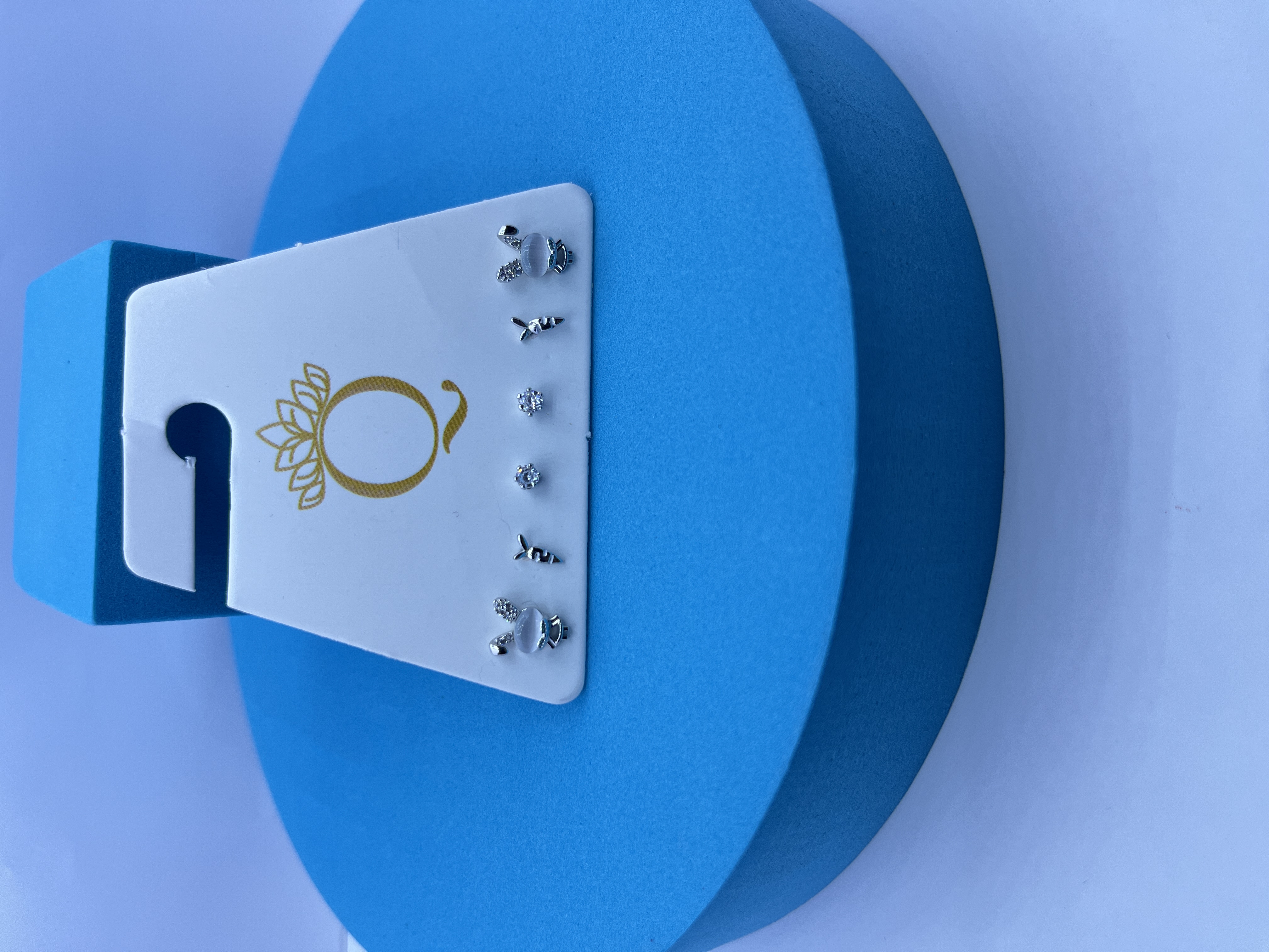 Silver Stud Earring Set