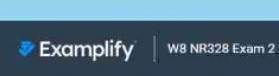 2025 NR328 Exam 2 Q&A Set | Chamberlain Current Version