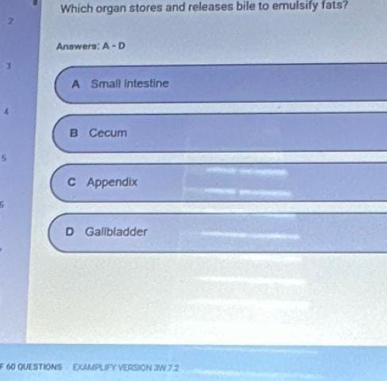 2025 NR228 Exam 1 Q&A Set | Chamberlain Updated