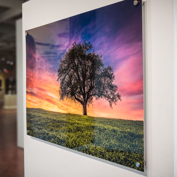 Stampa su Plexiglass 