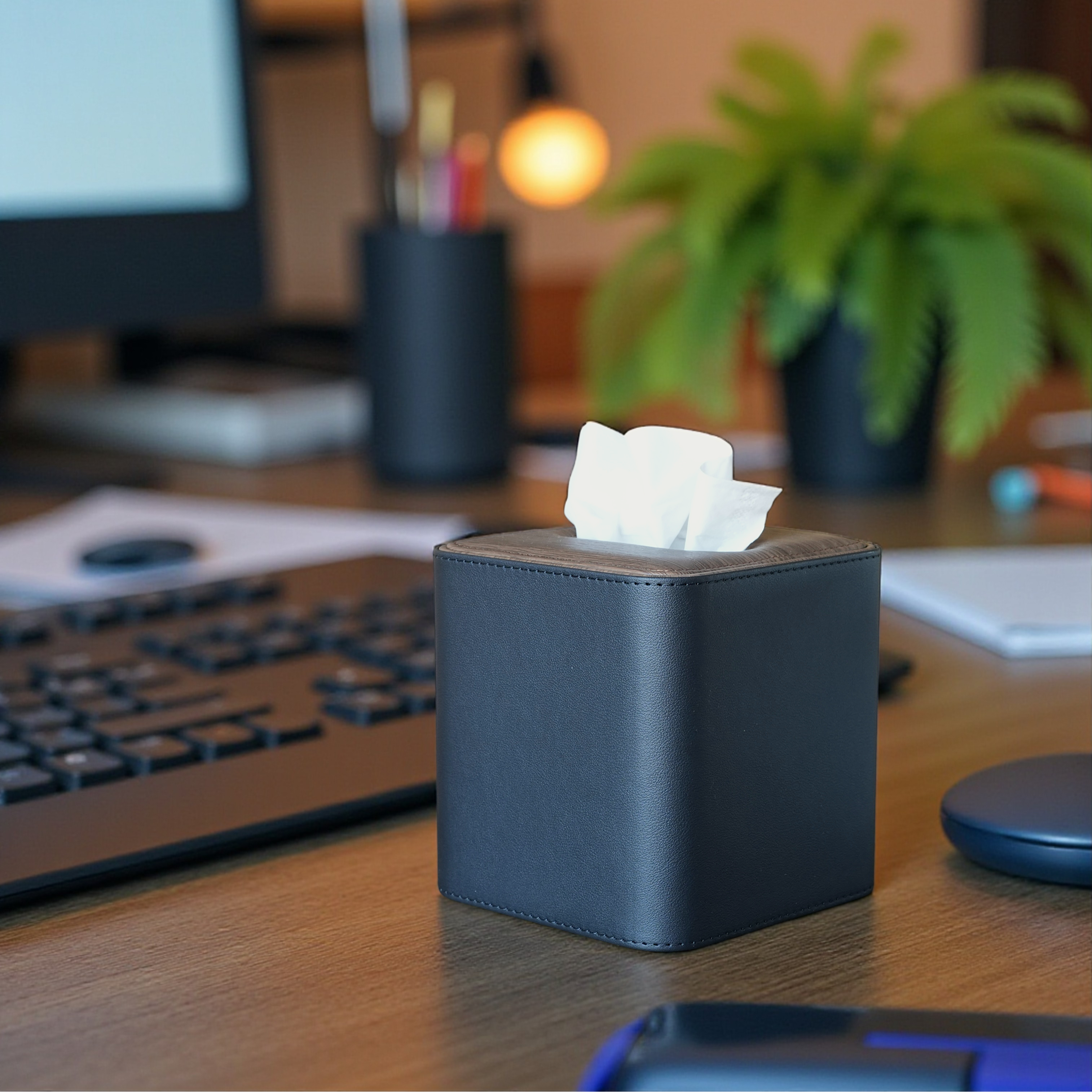 Modern Tissue Box Holder
