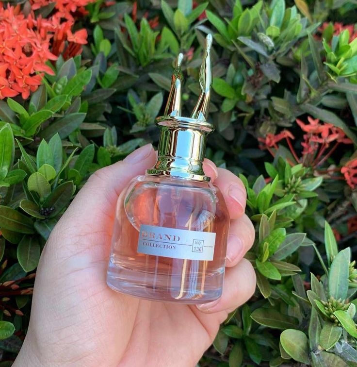 Scandal Brand Collection 25ml