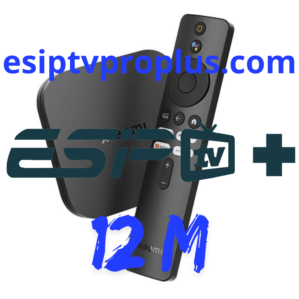 abonnement ESIPTV 12 mois