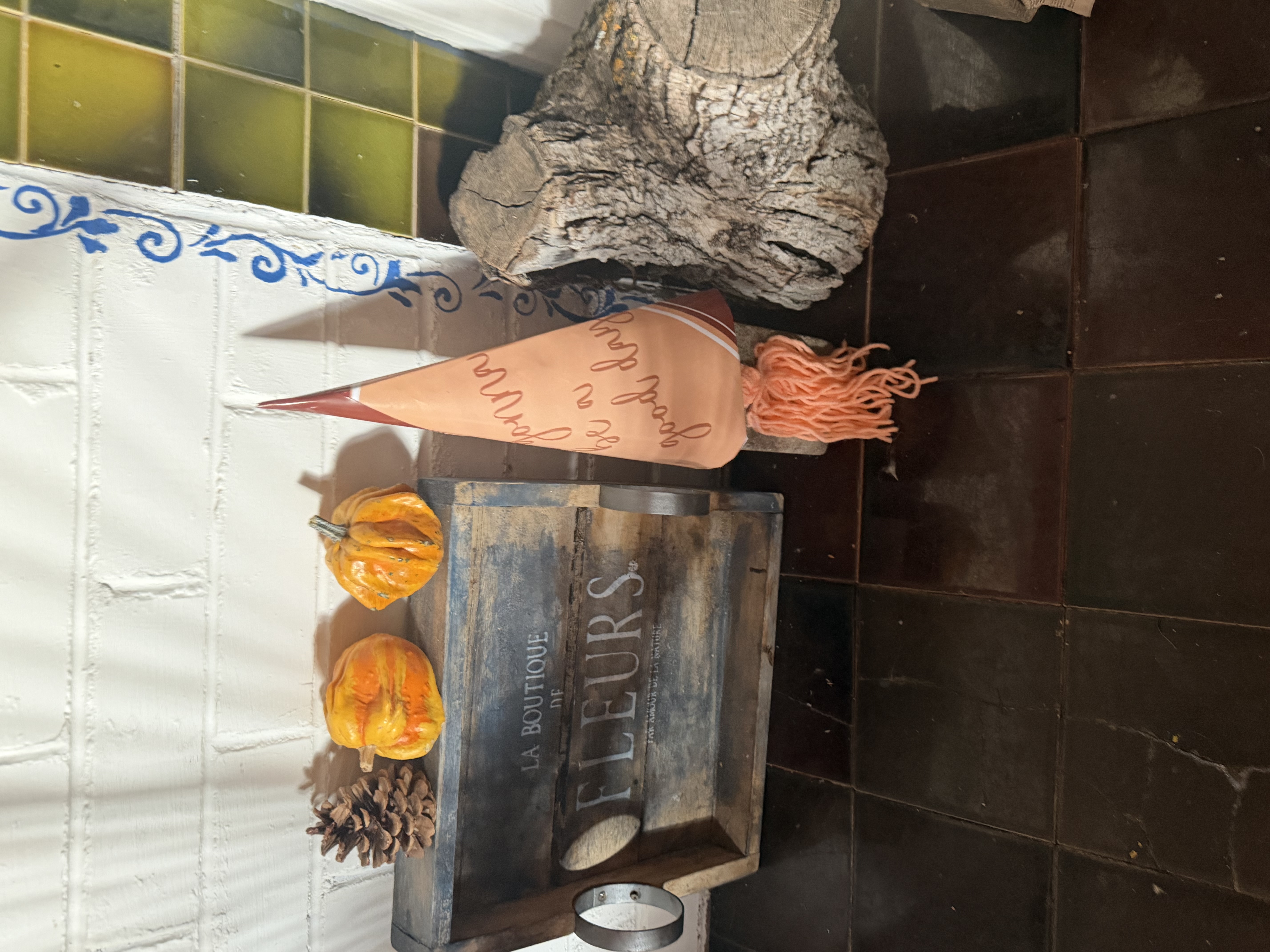 Today is Going to be a good day inspirational Gnome