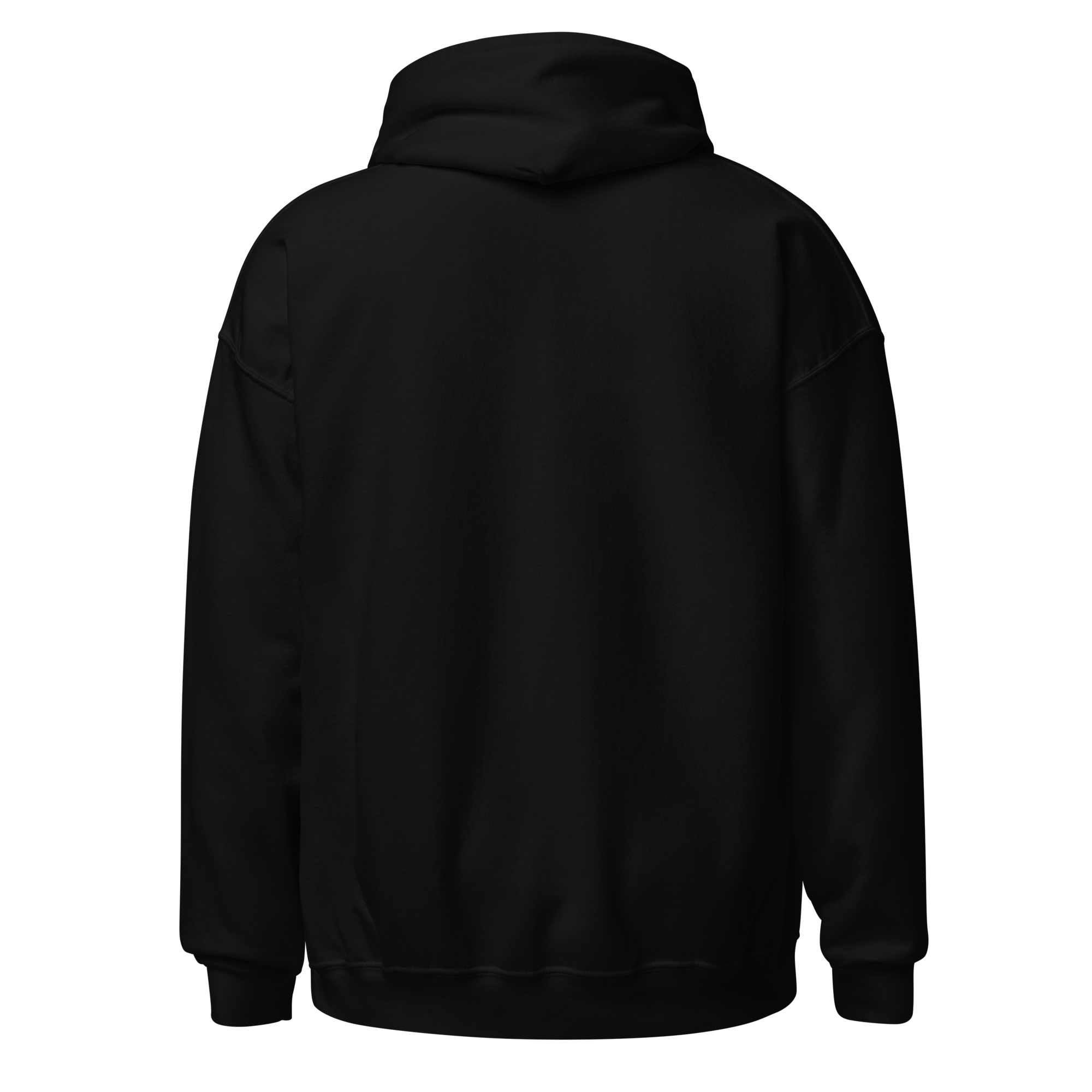 Speed Ship Art Hoodie