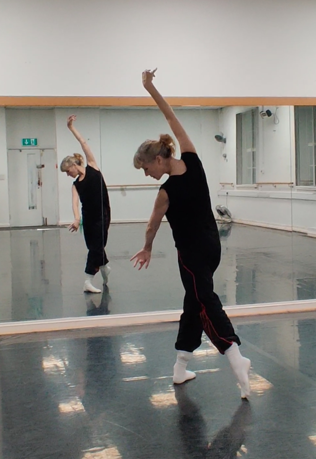 Adult Swan Lake Videoed Repertoire Workshop