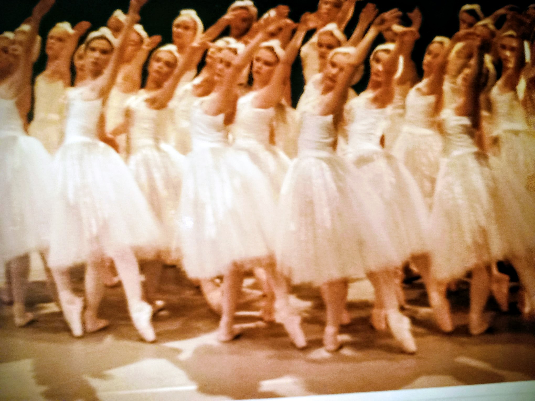 Adult Swan Lake Videoed Repertoire Workshop 