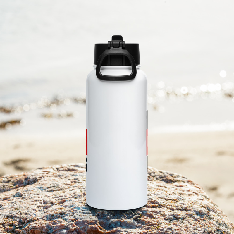 Real Intelligence Matters - Stainless steel water bottle with a straw lid