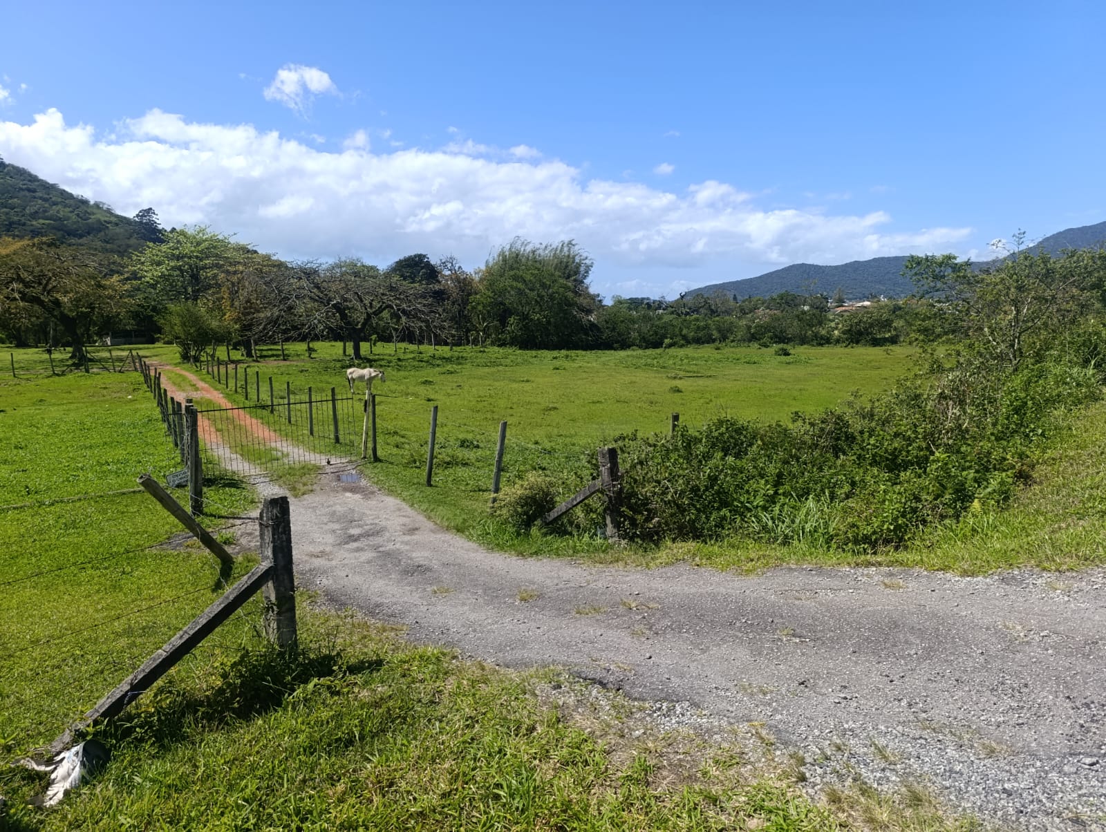 LINDO TERRENO NA  PRAIA 