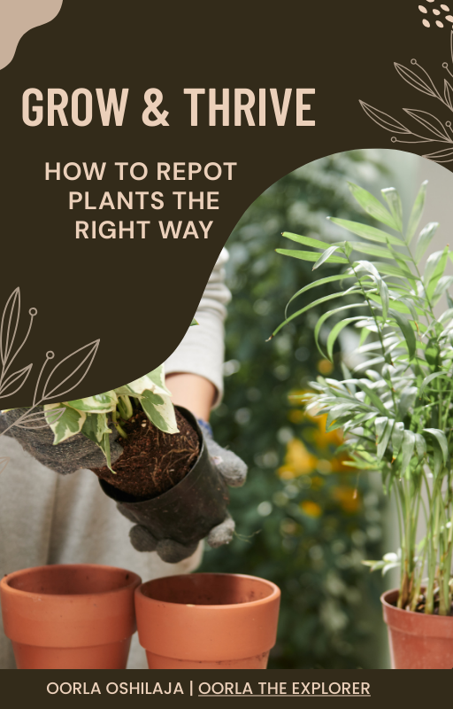 Grow & Thrive: Guide to Repotting Plants