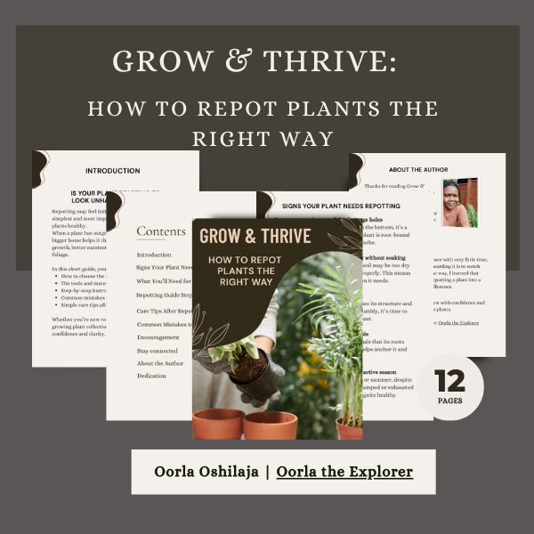 Grow & Thrive: Guide to Repotting Plants