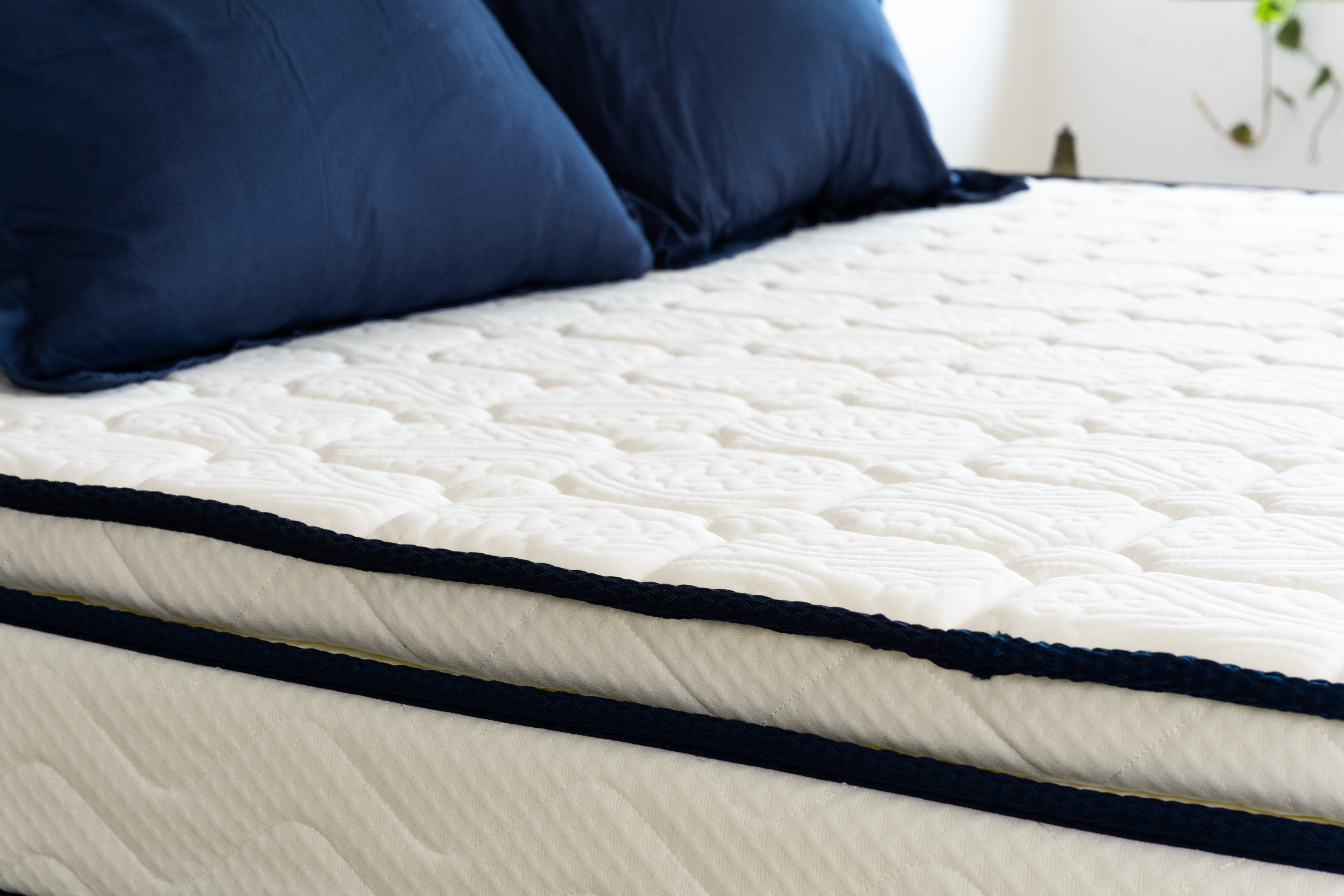 Moonlight Blue Press Foam Euro Top