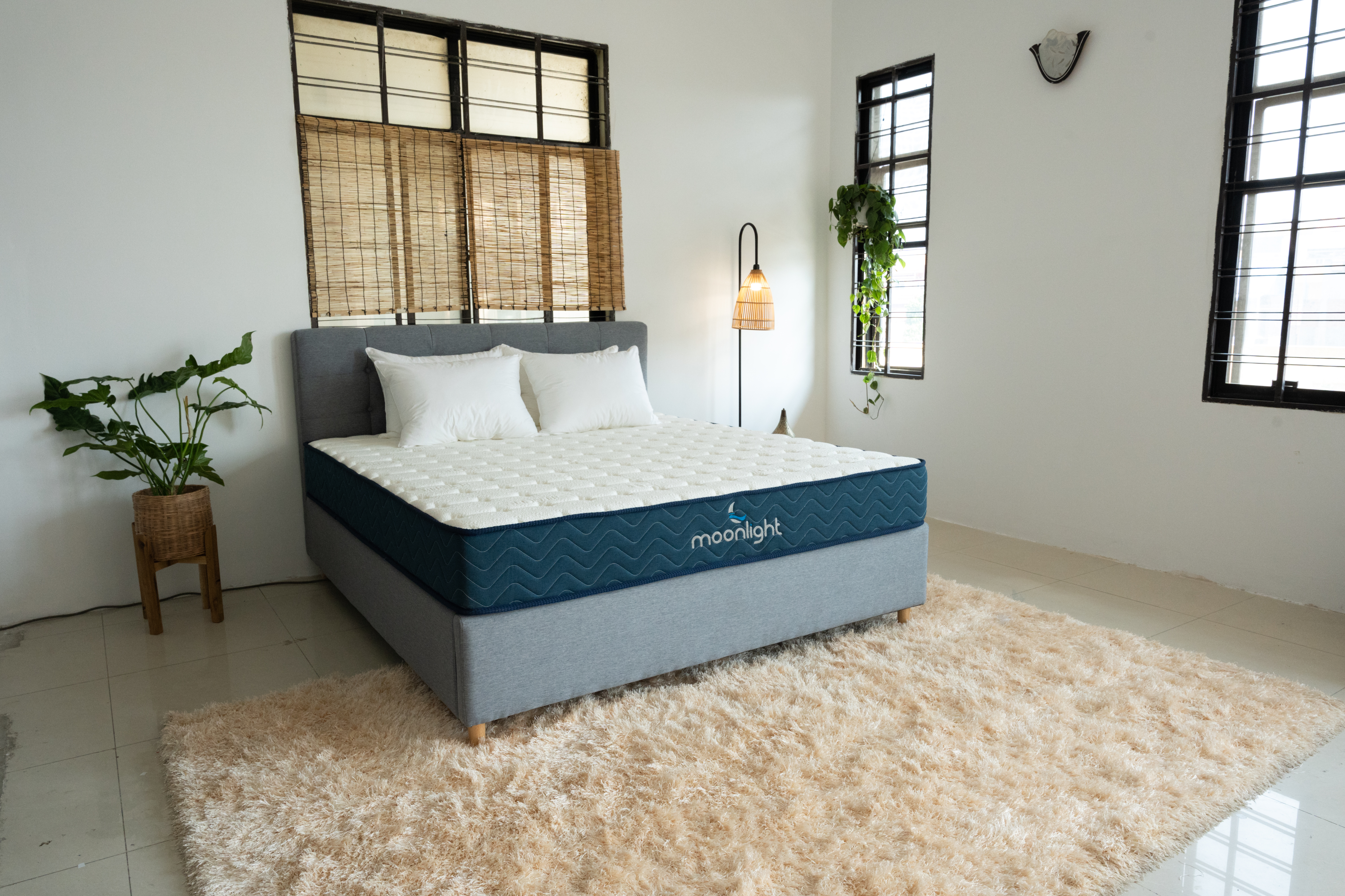 Moonlight Blue VIP Spring