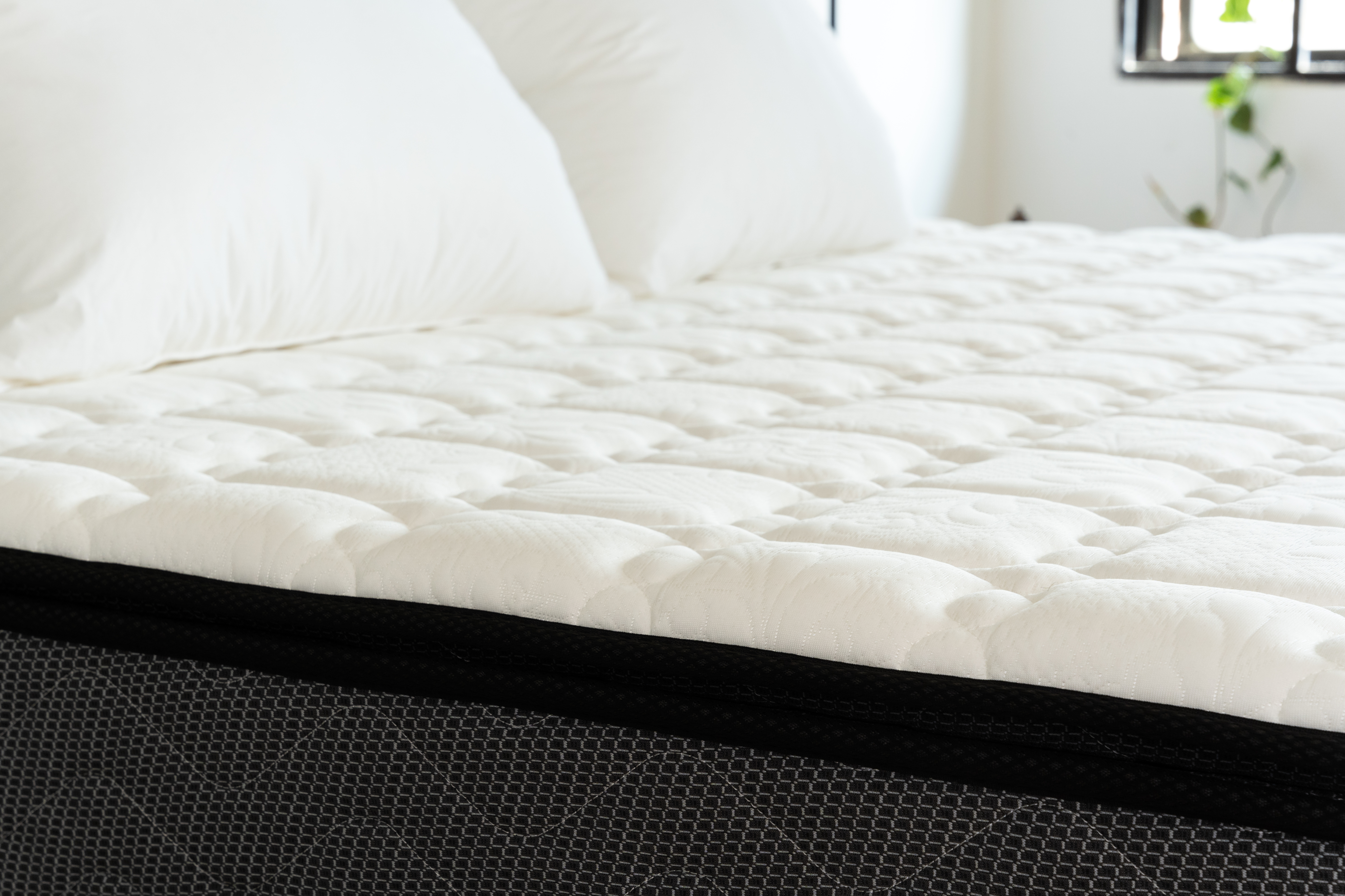 Moonlight Blue Foam Euro Latex Top