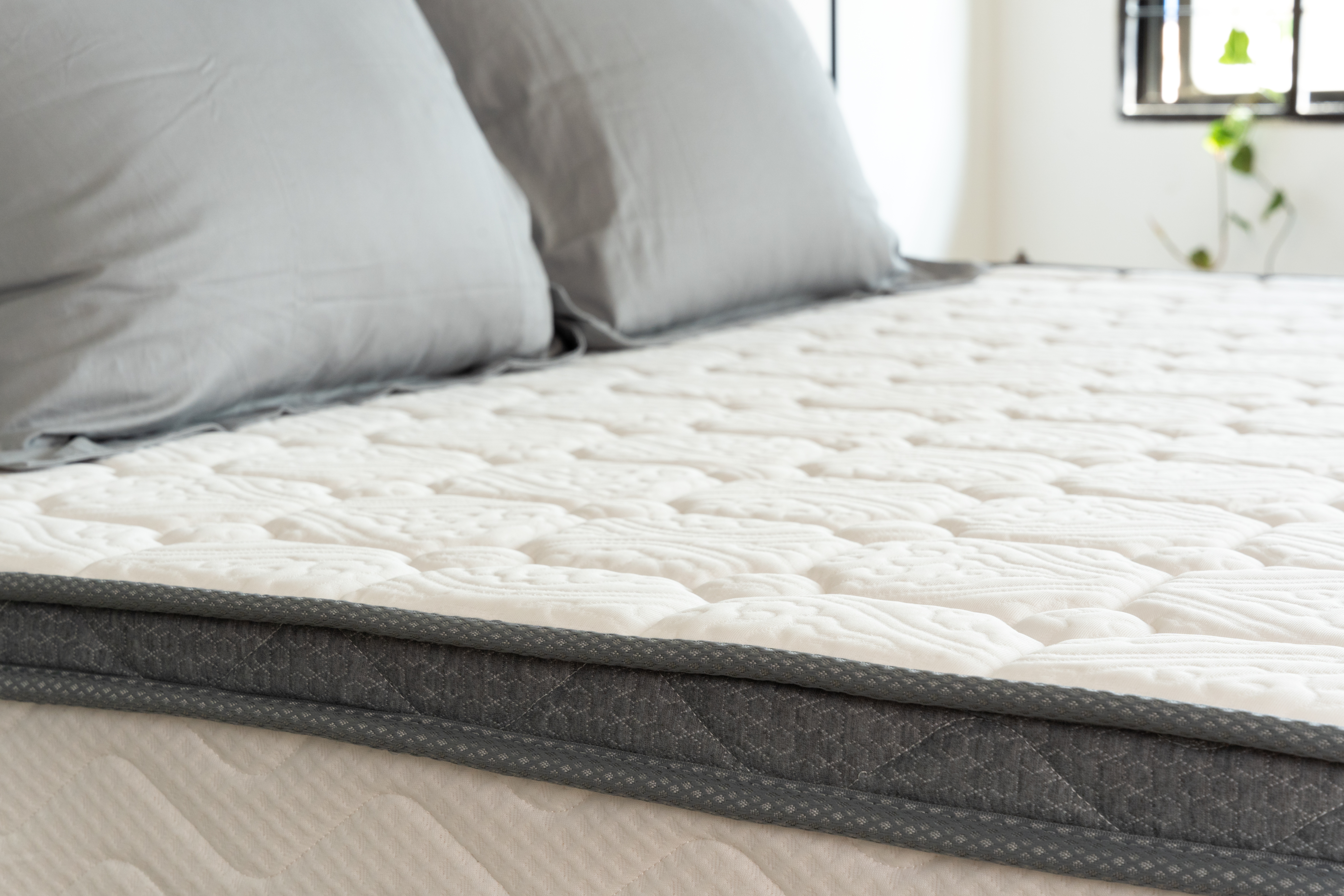 Moonlight Press Foam Euro Top