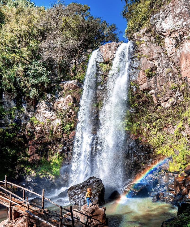 Honey, Puebla + Zacatlan