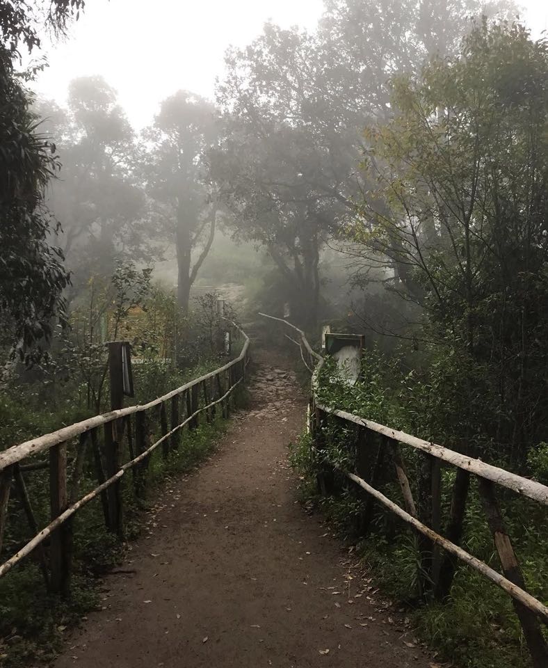 Tour a Mineral del Chico: Peña del Cuervo
