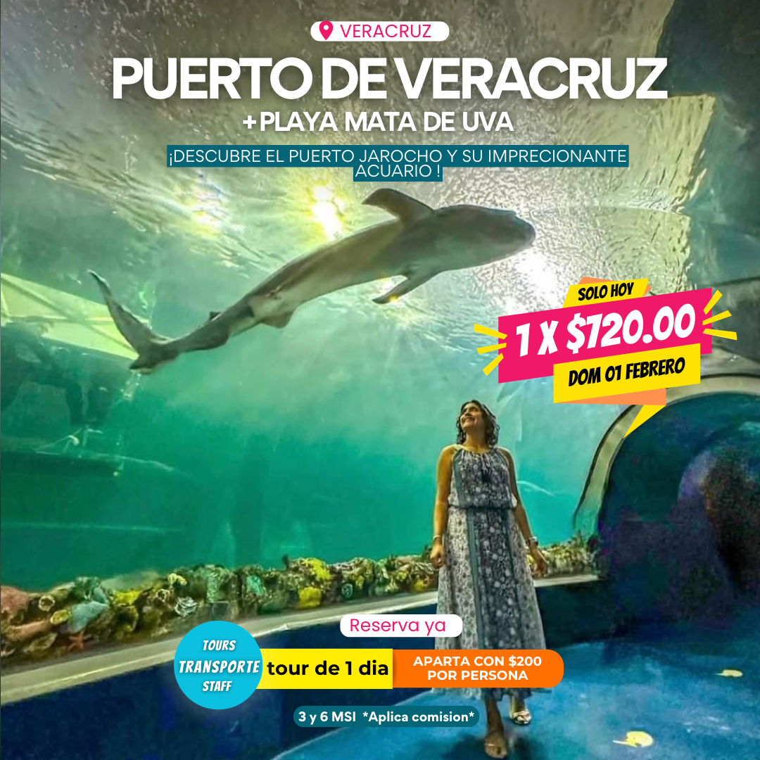 Tour de 1 día al Puerto de Veracruz