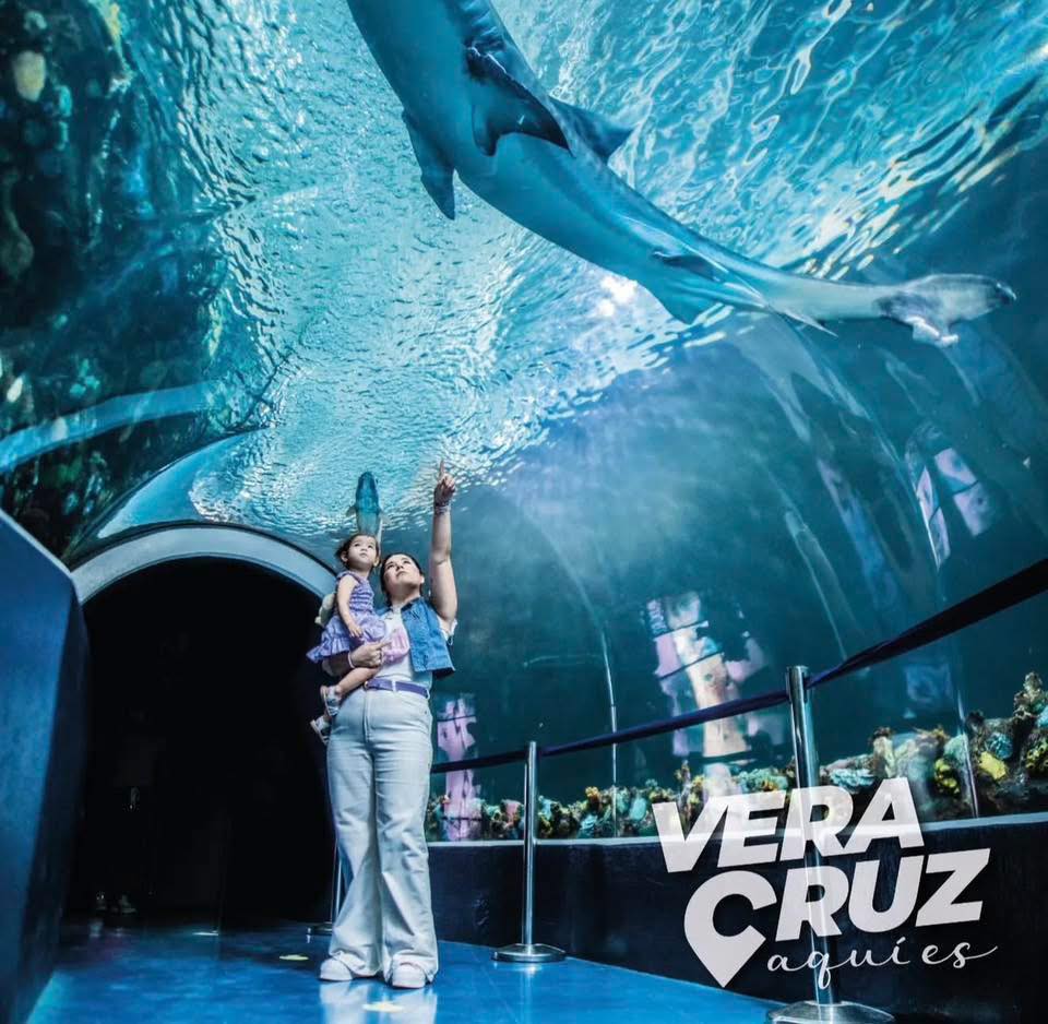 Tour de 1 día al Puerto de Veracruz