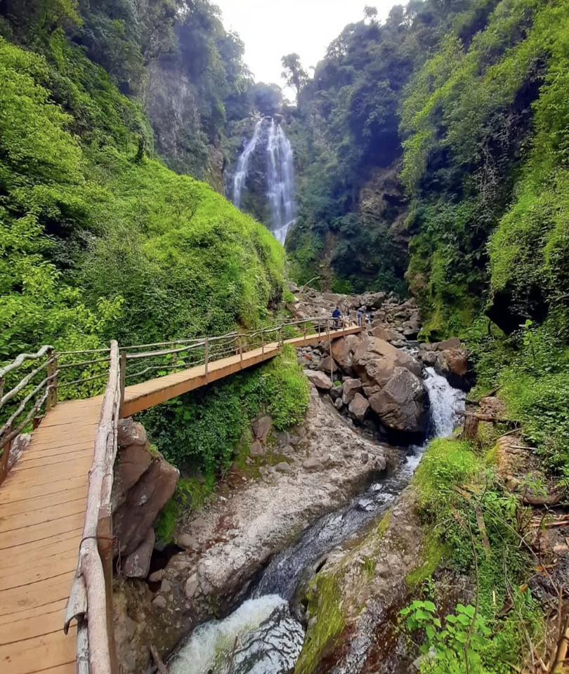 Honey, Puebla + Zacatlan