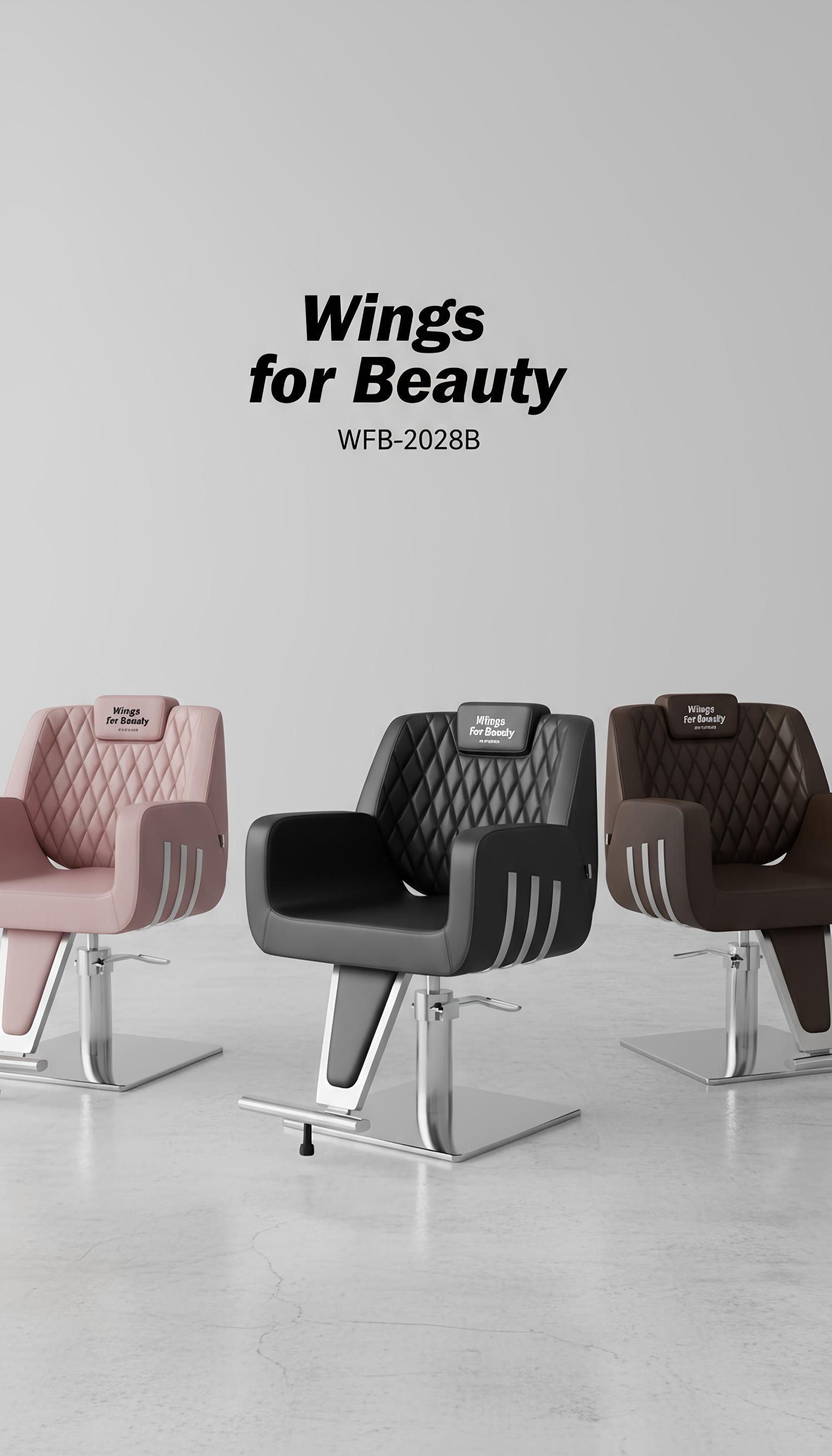 Professional Styling Chair for Beauty Salon, Spa Equipment