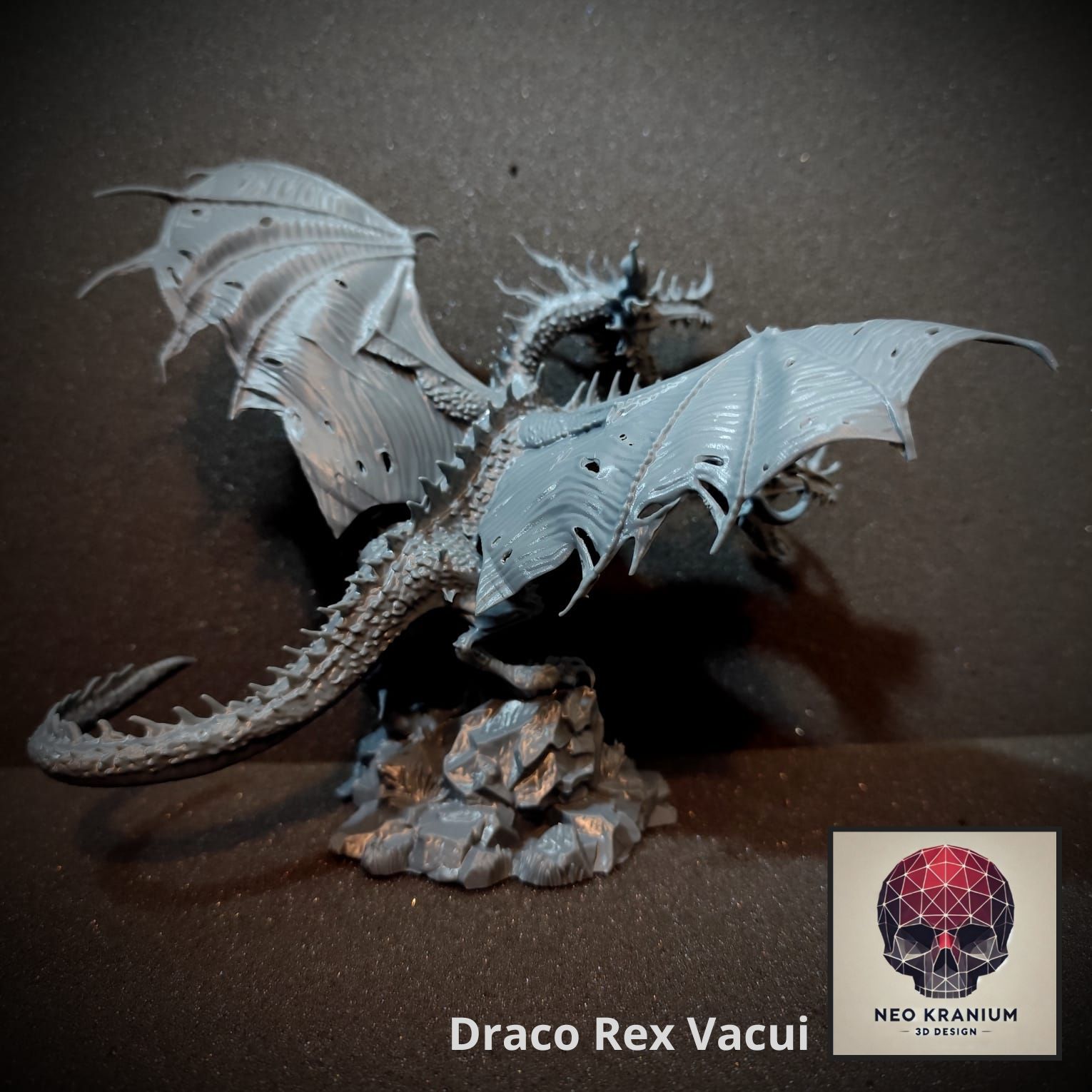 DRACO REX VACUI