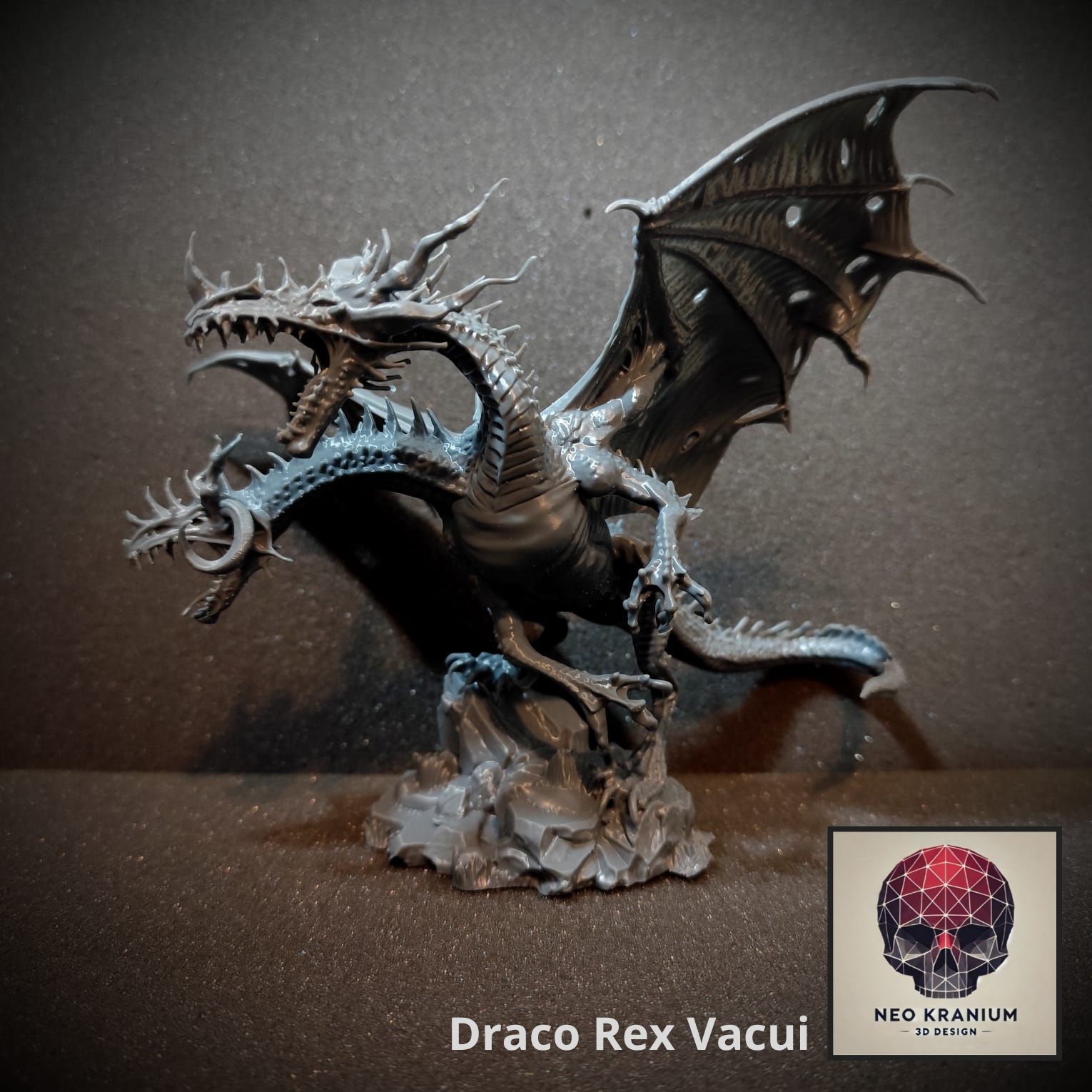 DRACO REX VACUI